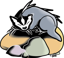 Badgee Badger Sleeping on a Rock