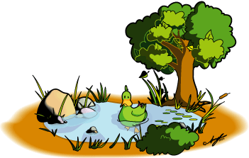 Mac the Duck in a Pond